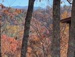 All about the Smokies